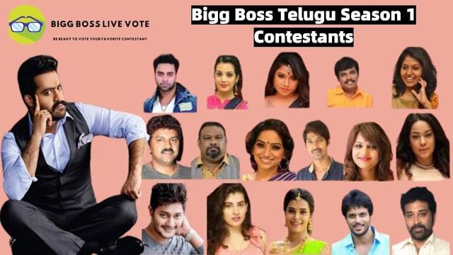 Bigg Boss Season 1 Telugu Contestants 